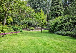 Optimiser l'expérience du jardin à Lachaussee-du-Bois-d'Ecu